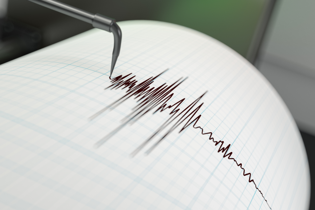 Earthquake seismograph