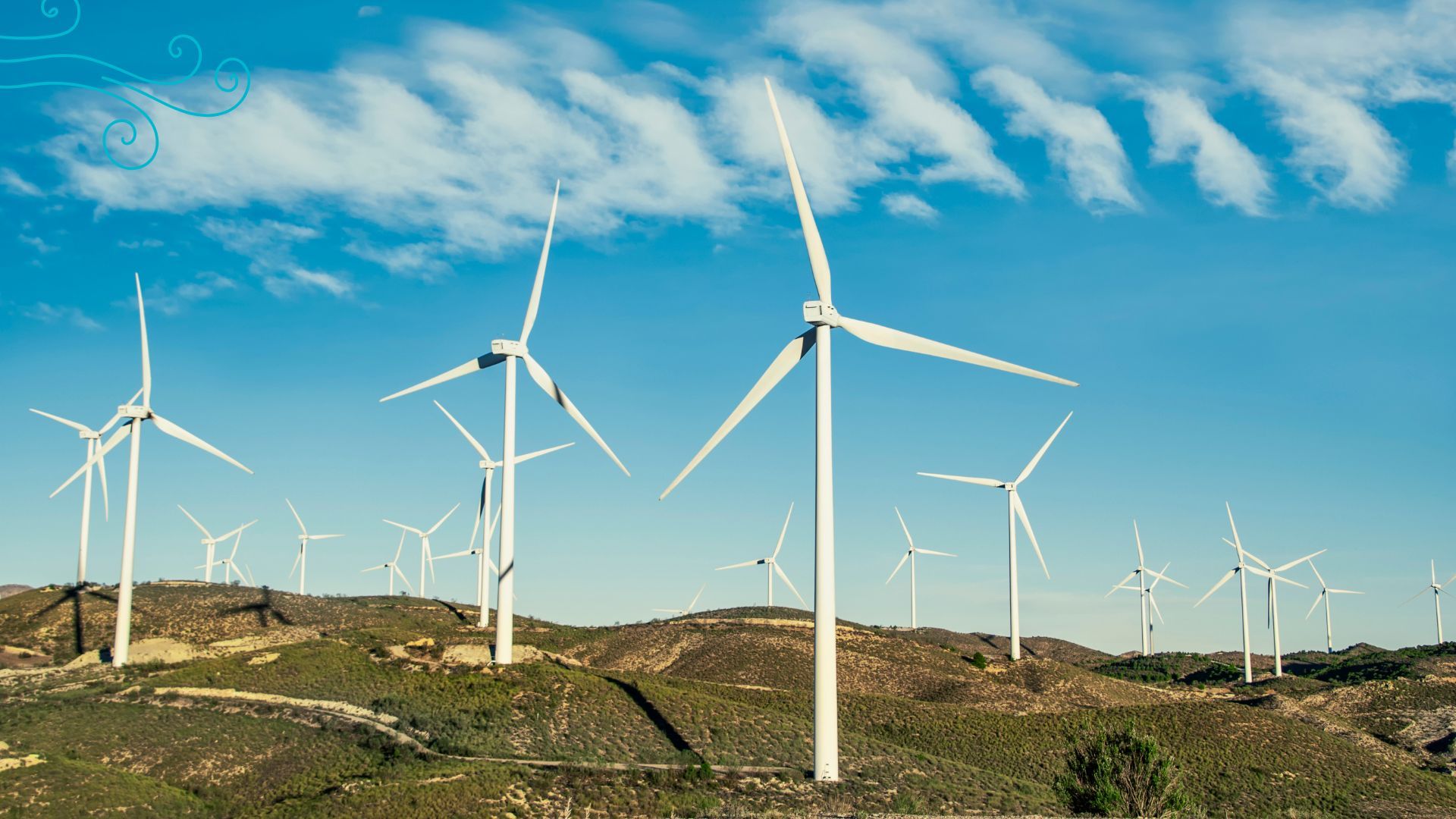 Featured image for “Wellington Eye Centre Sustainability | How We Reduce Waste & Support the Environment”