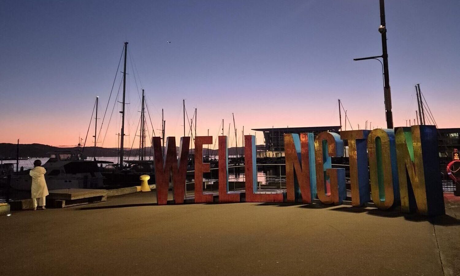 Featured image for “Things to Do in Wellington: Our Staff Picks Near Cuba Street”