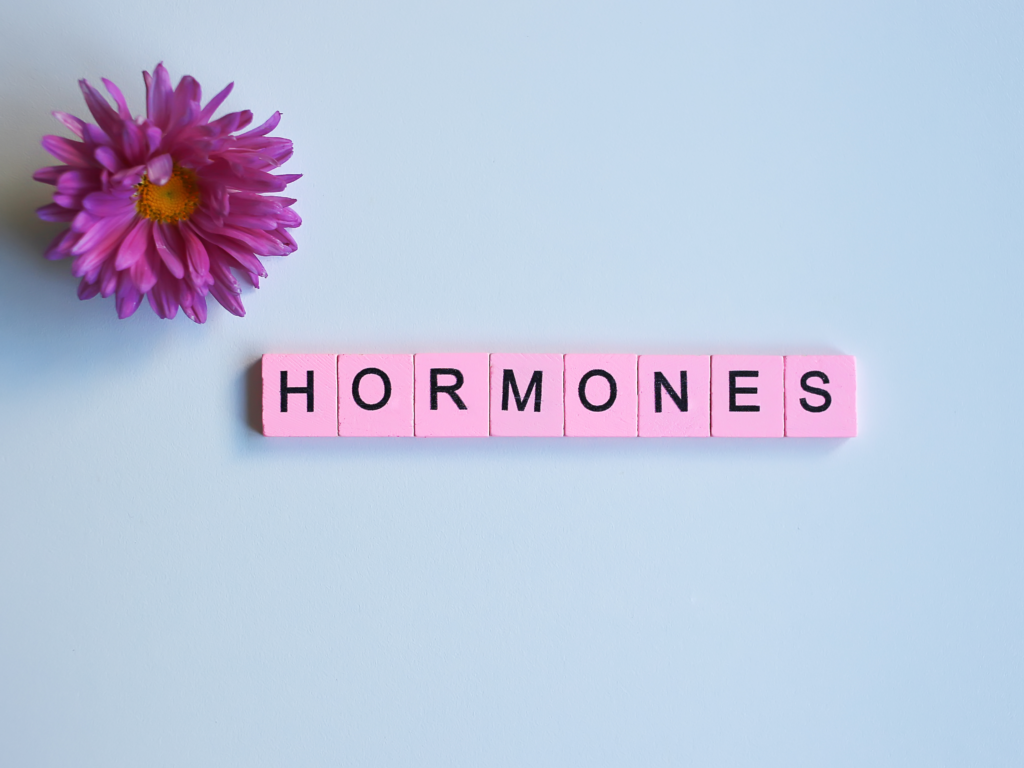 Hormones written on blocks